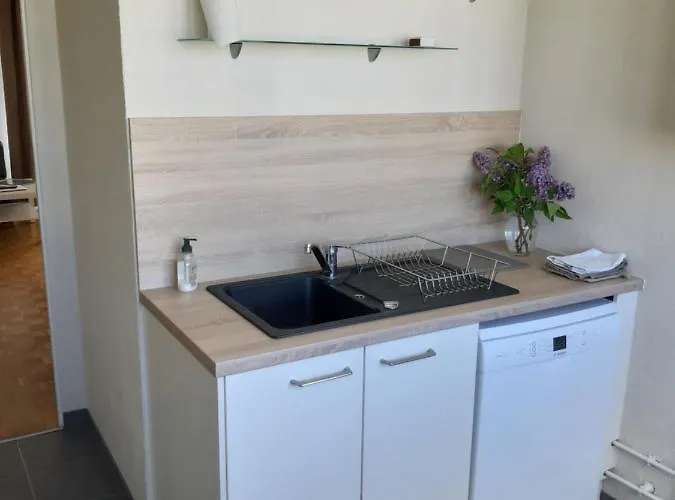 Appartement Lumineux Idealement Situe A Proximite De Musees Equipements Sportifs Salle De Spectacle Commerces