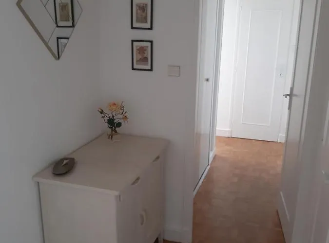 Appartement Lumineux Idealement Situe A Proximite De Musees Equipements Sportifs Salle De Spectacle Commerces